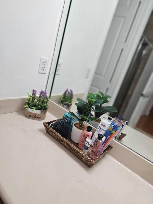 D&N Property Rental Miami Extérieur photo