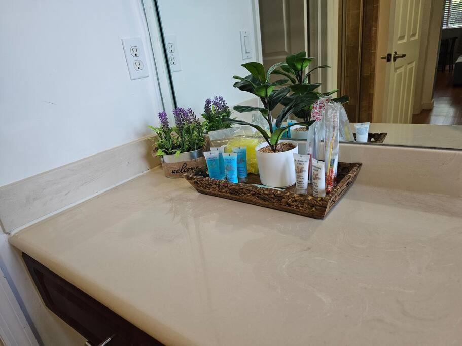 D&N Property Rental Miami Extérieur photo